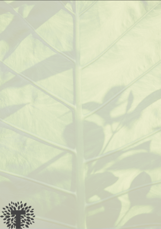 1623395501178226.png 圖片17.png